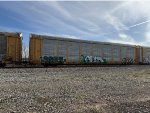 TTGX 702846